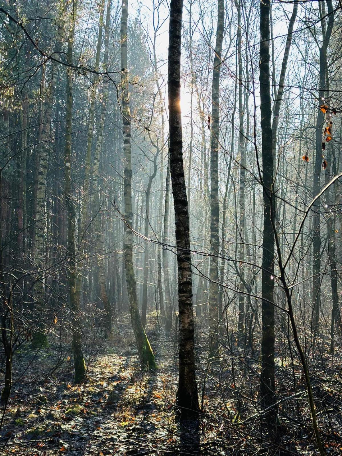 Domki Kacprowy W Lipnicy Lipnica  Exterior foto